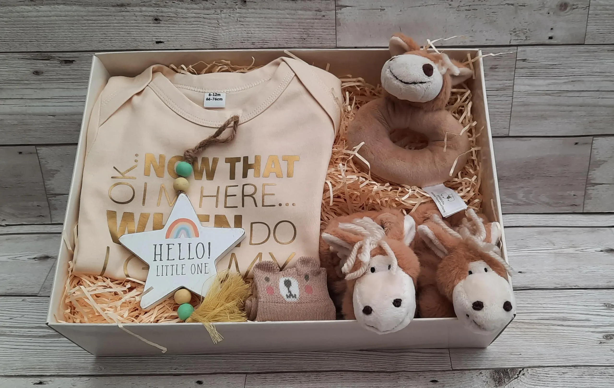 New Baby Equestrian Gift Set