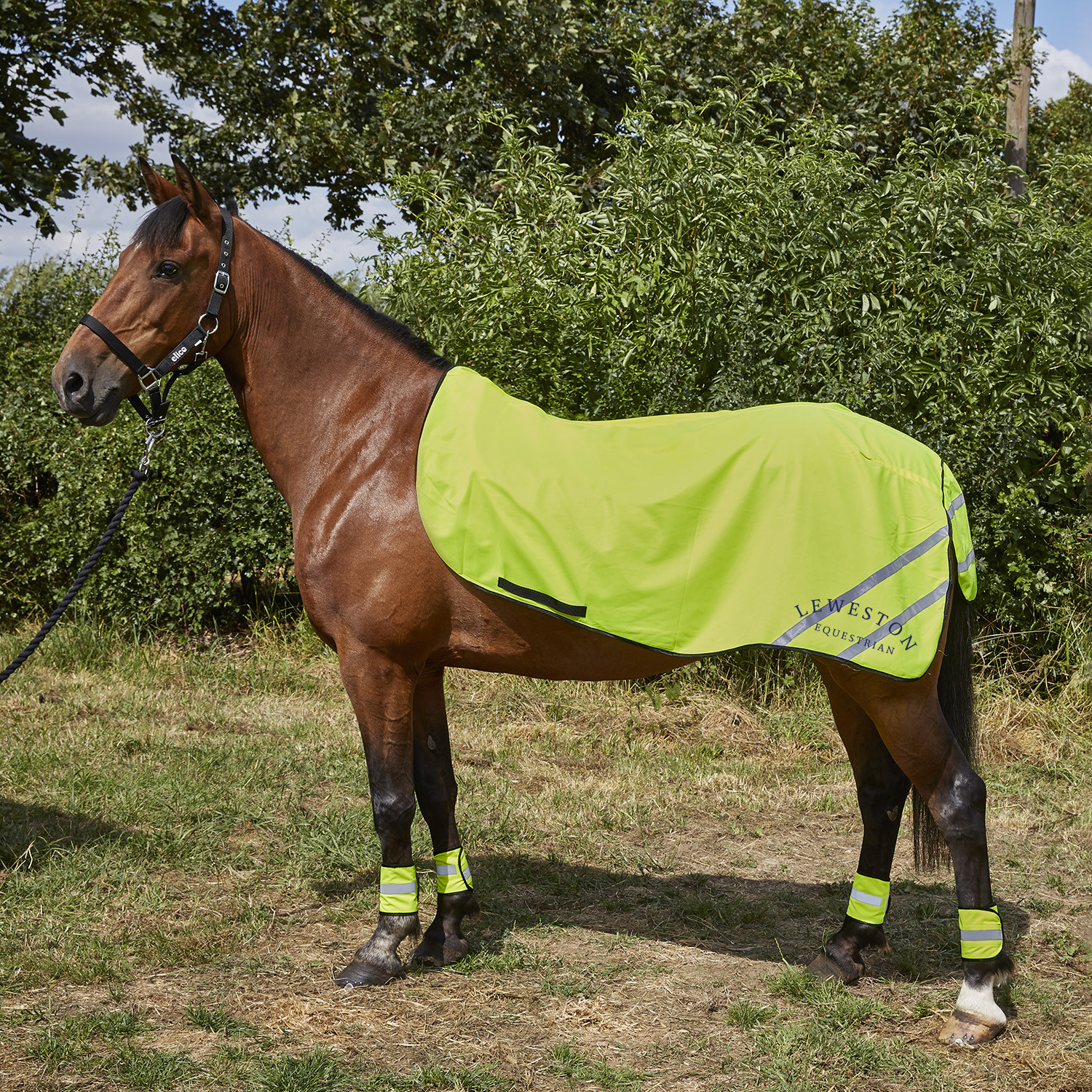 Leweston Aurora Reflective Exercise Sheets