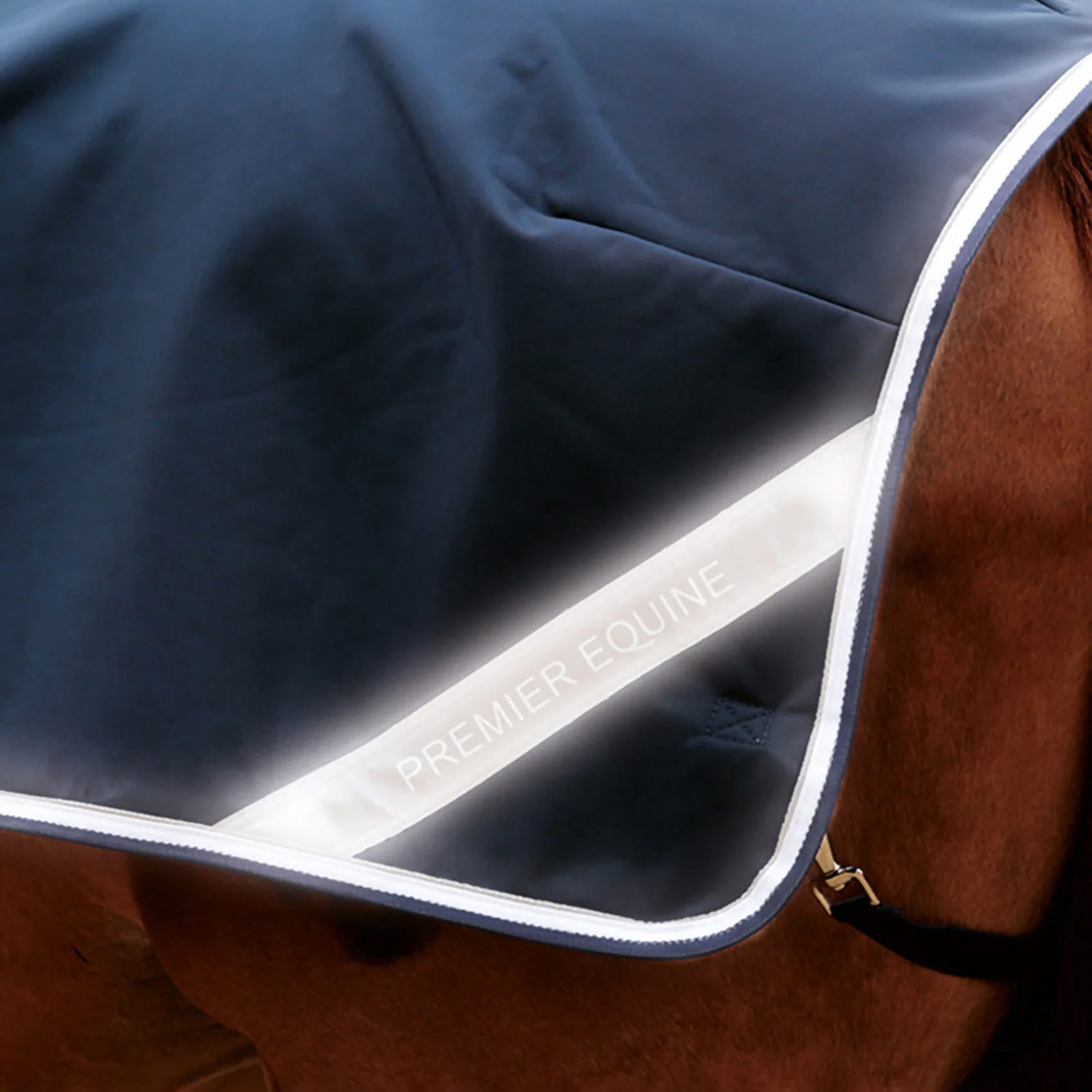 Premier Equine Horse Exercise Sheet - Image 4