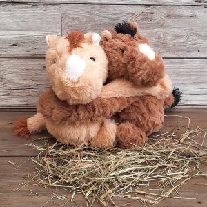 Team Besties Mascot Pony Duo